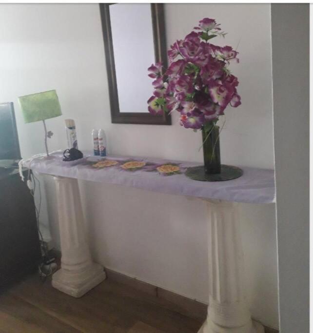 Cariclau Stanza Torres Galeria Jardin Microcentro Apartamento