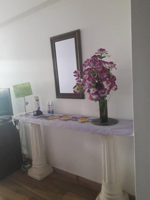 Cariclau Stanza Torres Galeria Jardin Microcentro Apartamento Ciudad Autónoma de Buenos Aires